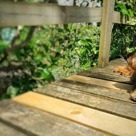 Couette-café Tre Ponti