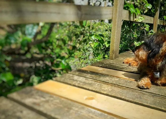 Bed and Breakfast Tre Ponti