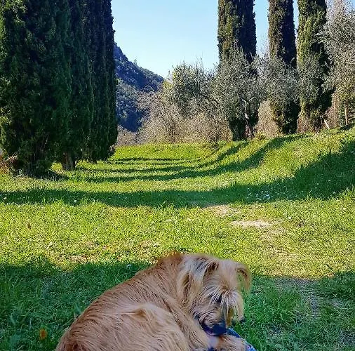 Tre Ponti Bed and Breakfast